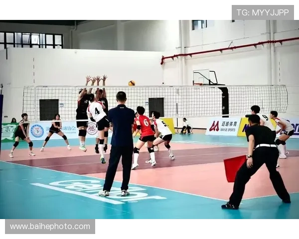 上海排球队技术创新引领全国排球实力再攀新高峰