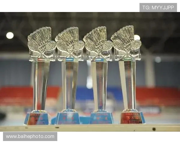 北京羽毛球队耐力训练的深度分析与发展策略探讨