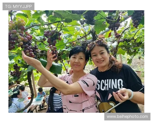 极限运动女神杨娜的挑战与坚持：一段不平凡的旅程回顾