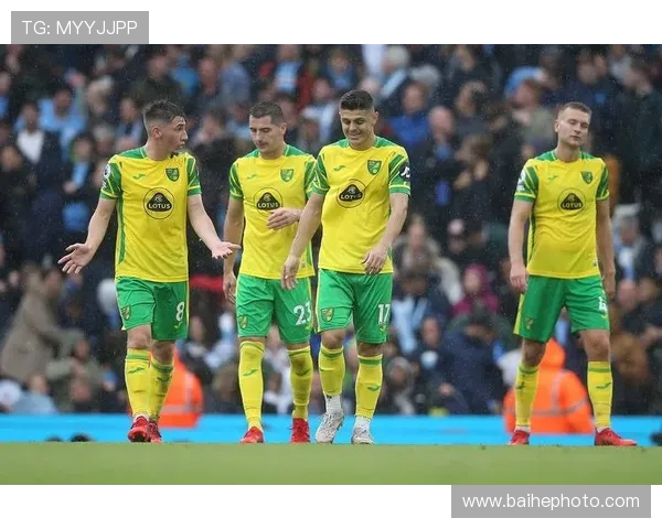 斯旺西对哈德斯预测分析及双方近期状态对比探讨 斯旺西对哈德斯预测分析及双方近期状态对比探讨