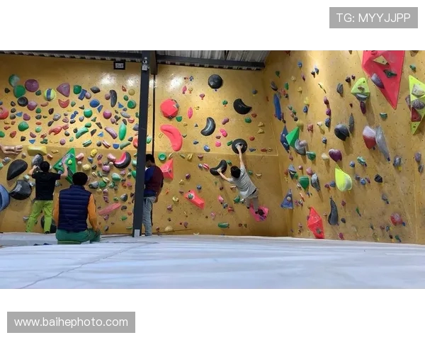 南京攀岩队整体压制革新探索与实践的深度剖析与启示