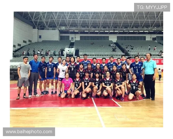 杭州排球队实力分析:聚焦技术与团队协作的完美结合 杭州排球队实力分析:聚焦技术与团队协作的完美结合