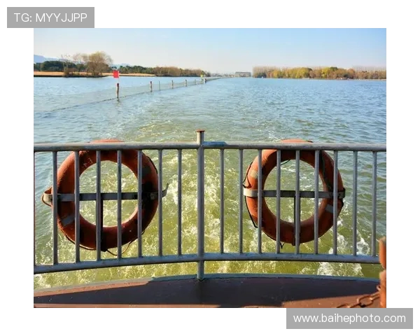 杭州极限运动队技术对比深度解析与发展趋势探讨