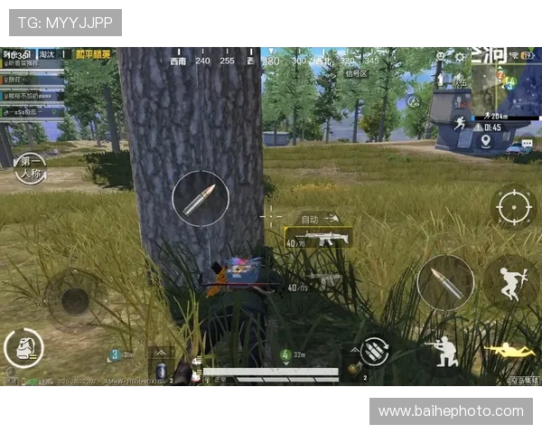 和平精英战术解析：深入探讨LNG在区域防守中的策略与执行