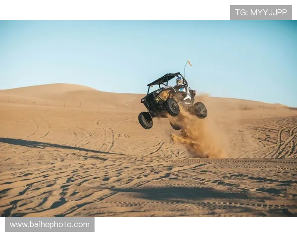 极限运动的魅力与挑战：深入探讨上海极限运动队的训练与管理模式