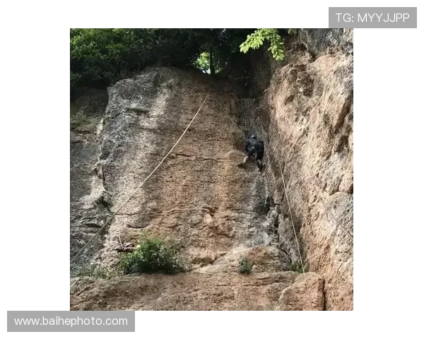 深圳攀岩队协作能力分析及其对比赛成绩的影响研究